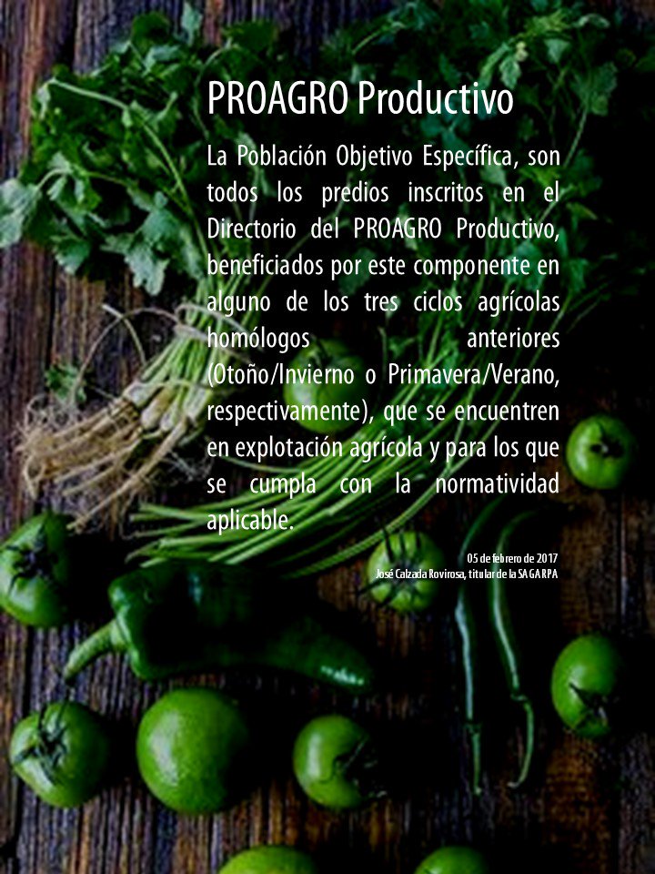 IgnacioLastra1's tweet photo. #ProgramaProductivo población objetivo son todos los predios inscritos en el directorio del programa @ppcalzada https://t.co/KmpL8tRyIy