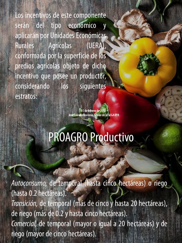 IgnacioLastra1's tweet photo. #ProgramaProductivo considera los estratos #Autoconsumo #Transición #Comercial @ppcalzada https://t.co/CLBVLlU1Y0