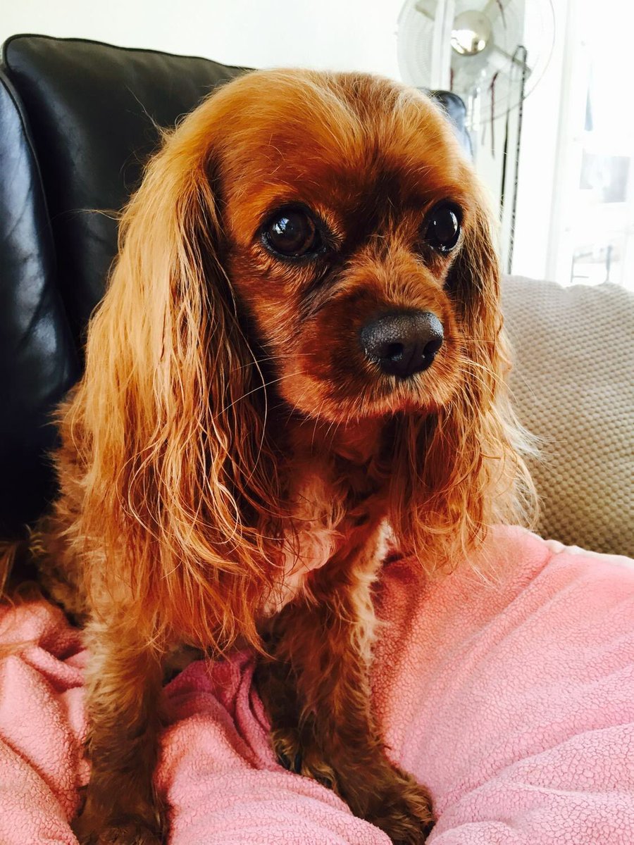 RemingtonOliver's tweet photo. My boy 💝😔 https://t.co/UWHNefnhhd