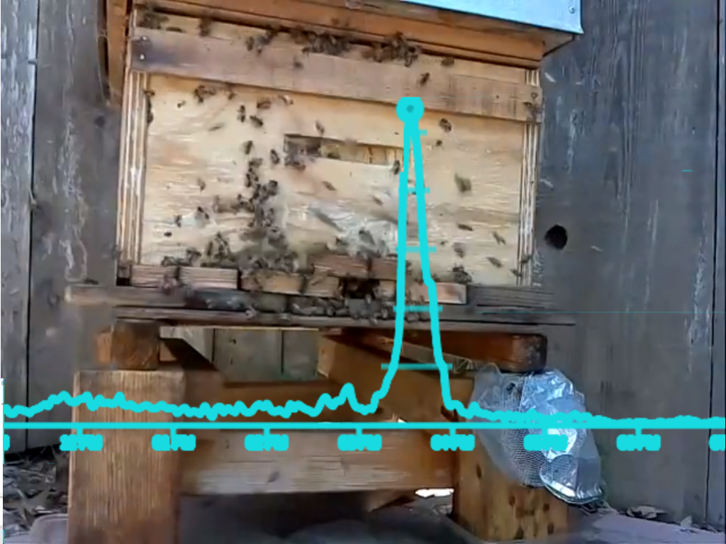 eyesonhives's tweet photo. The Orientation Signal - the Pattern of Beehive Health, and what technology can help you… https://t.co/JKXUe3Myvc https://t.co/hYMcbNi8oN