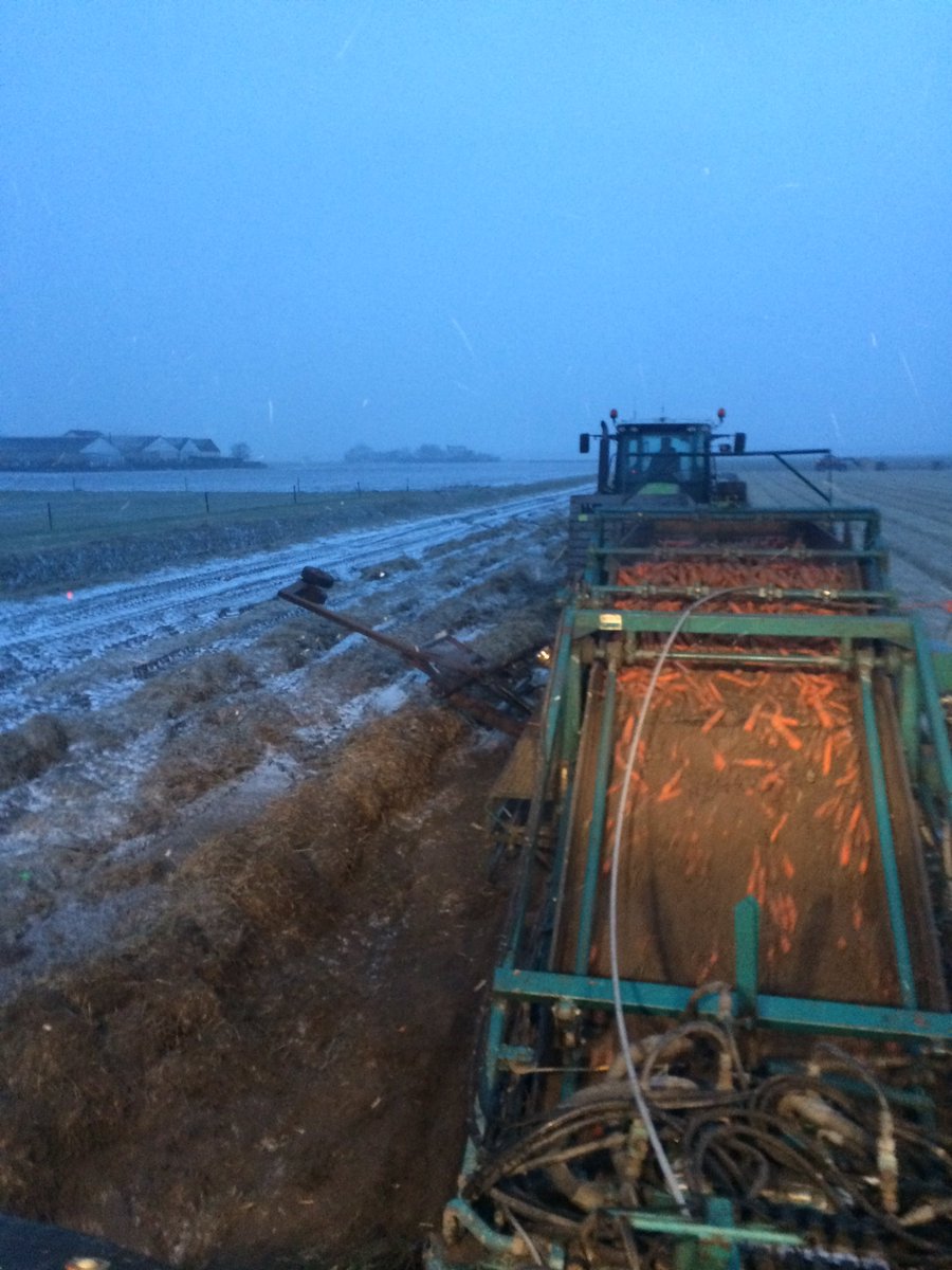 RidderAlbert's tweet photo. Lekker weer om wortelen te rooien!!#texel #sneeuw #rooien https://t.co/bawAkaasHH