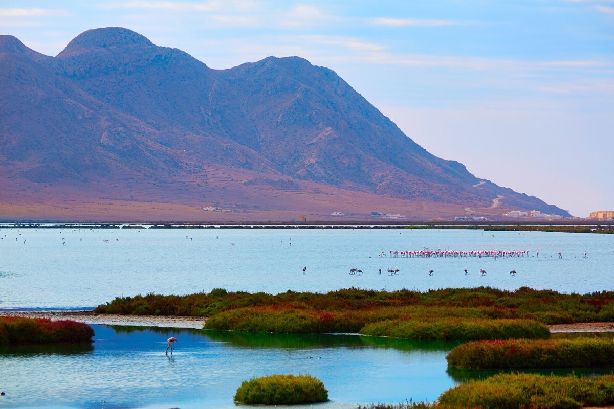SitiosdeEspana's tweet photo. Parque Natural de Cabo de Gata (Almería): https://t.co/Sh7aBrs4Ej
Un precioso entorno de paisajes semidesérticos. https://t.co/u1yhmddumr