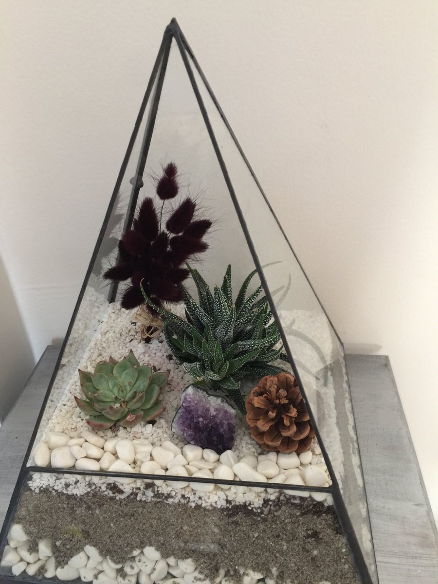 BabelCollection's tweet image. Sukulent # teraryum # hediye # tasarım # babel collection #