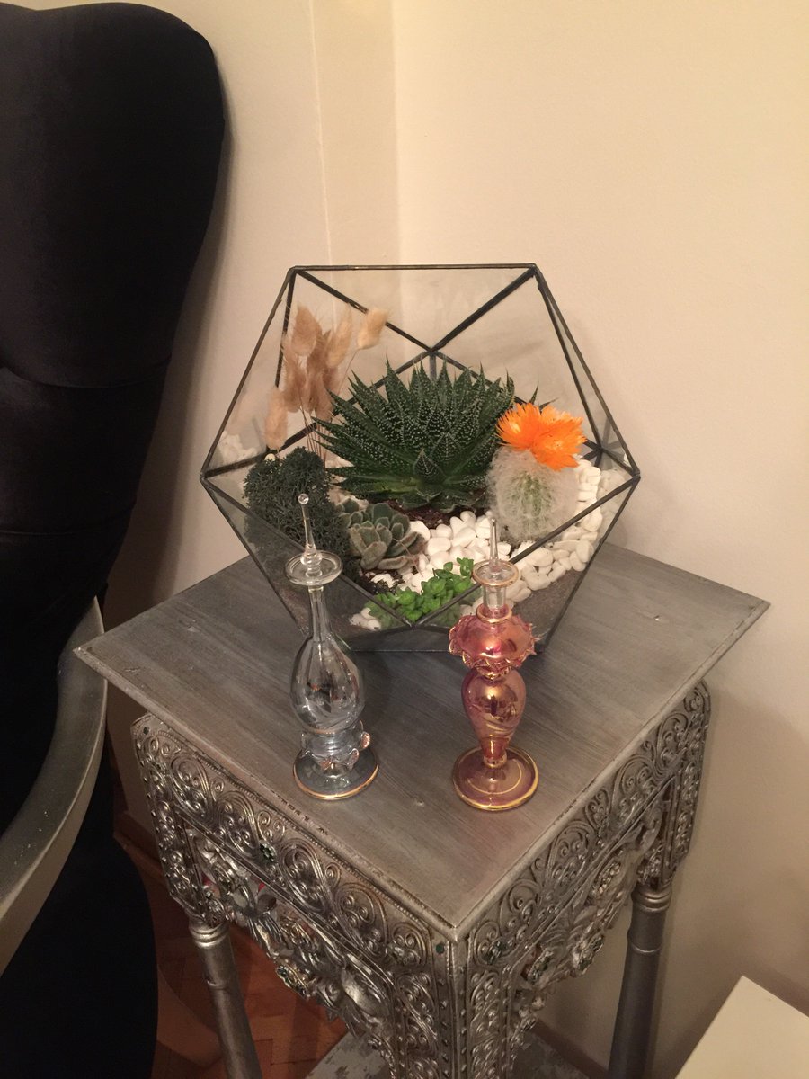 BabelCollection's tweet image. Sukulent # teraryum # hediye # tasarım # babel collection #