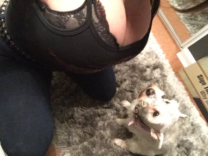 When your Lille one ask.... when will I grow a set of these? You simply answer ..... Never my dear https://t<a href="/tag/curves"class="tags"><span>#curves</span></a><a href="/tag/blonde"class="tags"><span>#blonde</span></a><a href="/tag/bigboobs"class="tags"><span>#bigboobs</span></a><a href="/tag/pornstars"class="tags"><span>#pornstars</span></a><a href="/tag/milfs"class="tags"><span>#milfs</span></a><a href="/tag/bigbutts"class="tags"><span>#bigbutts</span></a>