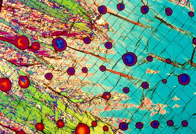 CurrentBiology's tweet photo. View the most beautiful and captivating images from the 2016 #CellPictureShows @CellCellPress https://t.co/hdY2proWrx https://t.co/FJcaeFpD24