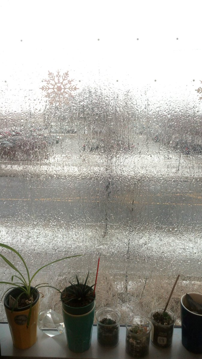 GiselaBento's tweet photo. Sliding to class today! #SCS2844 #FreezingRain #mywindowisfrozen https://t.co/zSBKyTK0Wa