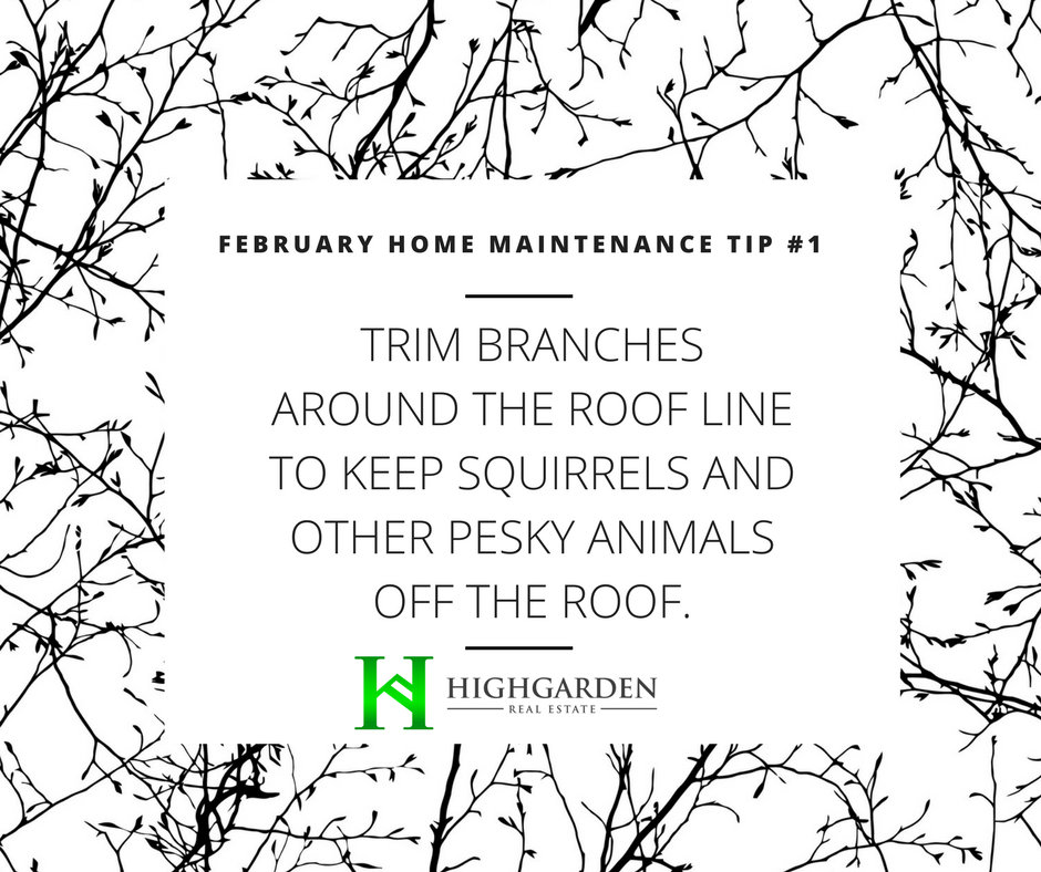 February Home Maintenance Tip #1: Trim branches around the roof line to keep squirrels and other pesky animals off the roof.