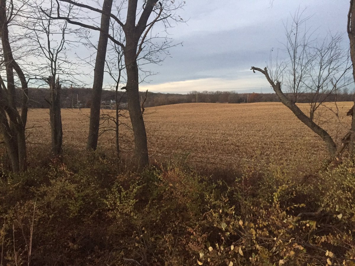 Huckstarxc tweet media