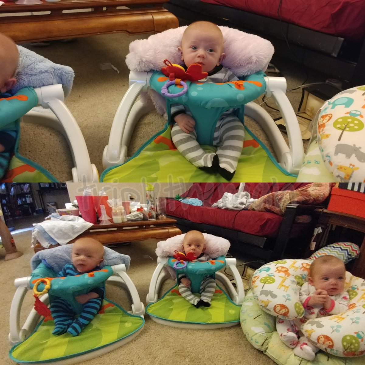 ShesCalledSarah's tweet image. @LGUSAMobile @LGUS I just want to thank you for making taking pictures of my Trio so much easier! I love the #doublecamera