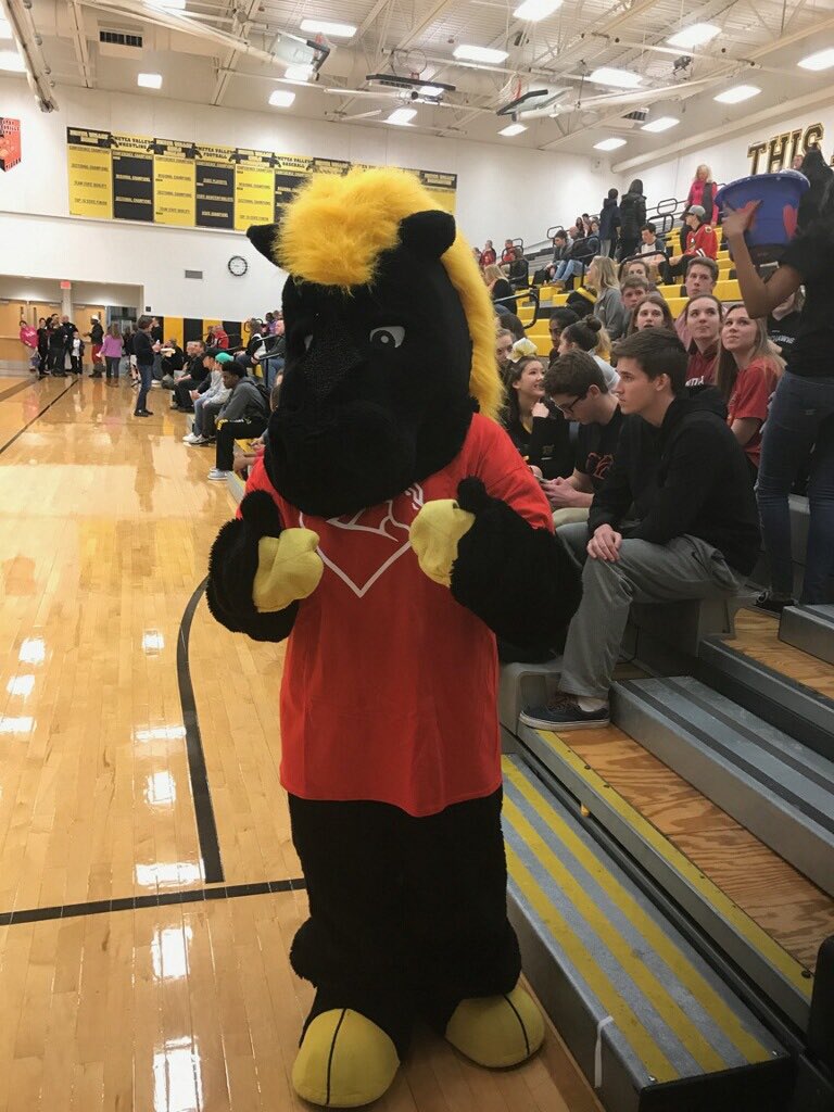 Eagle Nation tweet media