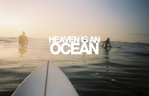 surferquotez's tweet photo. https://t.co/5laHnNNWGs