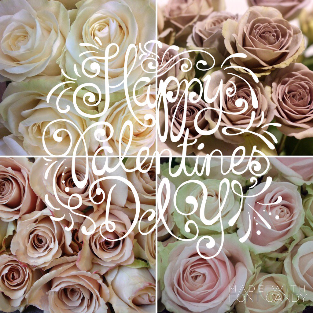daisy_delicate's tweet photo. https://t.co/3BxxISq4XK