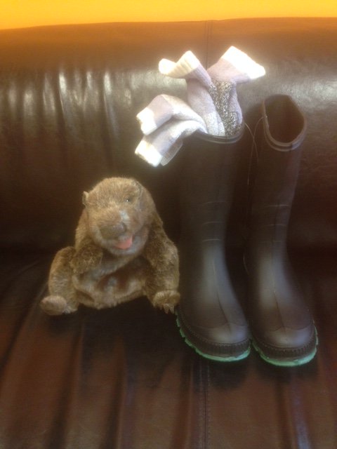 GoodDaySac's tweet photo. Popped my head up in time to c that rascal @GDSJohnArmand couldn't bother to get @TinaMacuha water-proof boots.I got u T. #GoodDayGroundhog https://t.co/CC8TugLazf