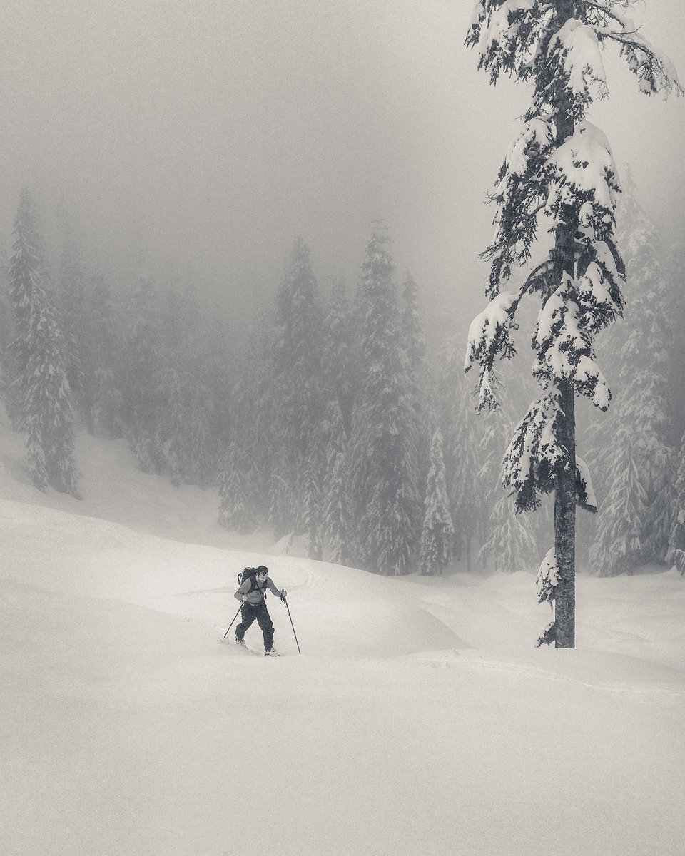 BCTrailGuides's tweet photo. Climbing through the doom &amp; gloom of #mtseymour's slackcountry. #trailpixels #skitouring #backcountry #EarnYourTurns https://t.co/XBT9qMIXqc https://t.co/tahVvklO7a