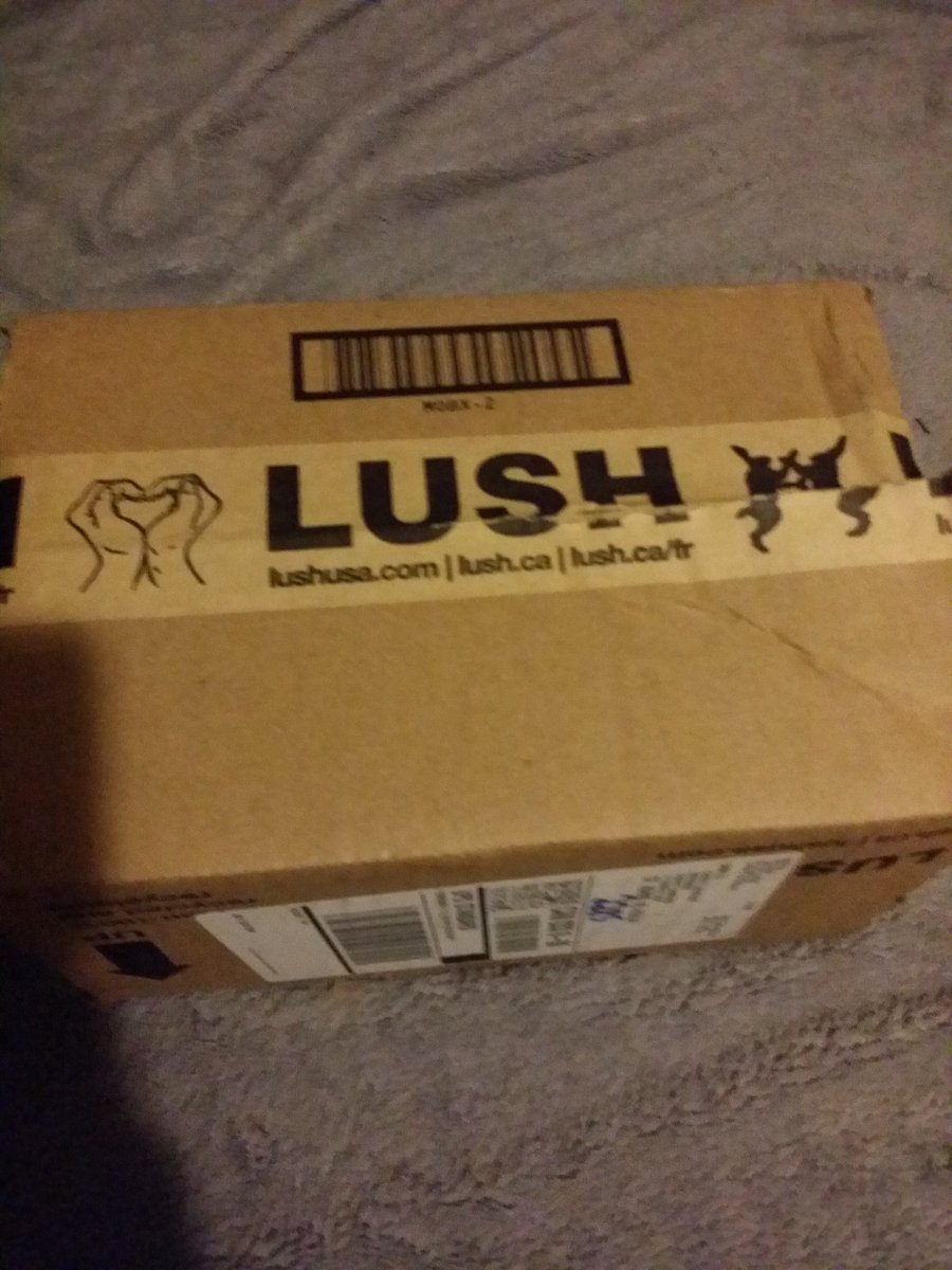 char_monster's tweet photo. @lushcosmetics so excited for my Lush-mail but the box was damaged despite Fragile sticker &amp; my sexbomb got crumbled https://t.co/eFFt7ukCjd