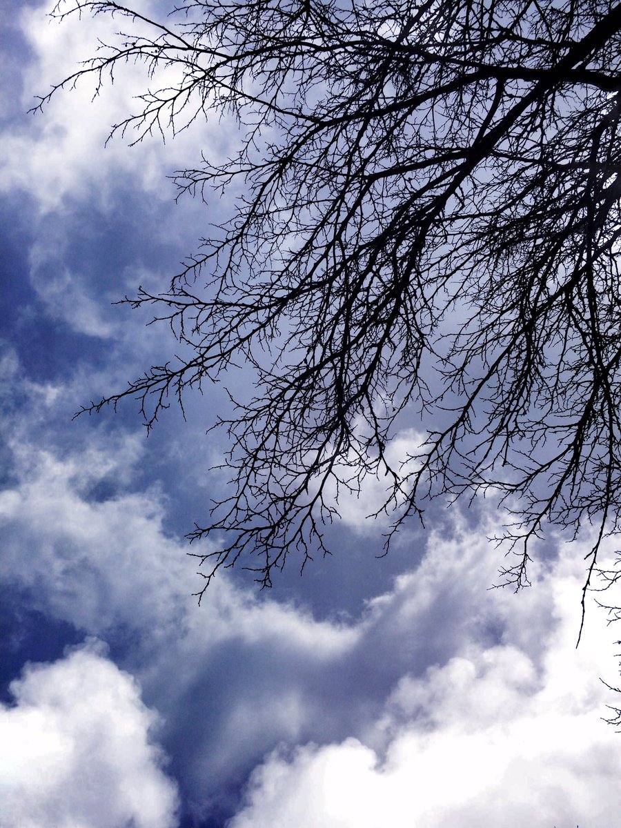 ThoughtsImages's tweet image. There is a big blue sky waiting just behind the clouds. #iphoneography #sky #LookUp