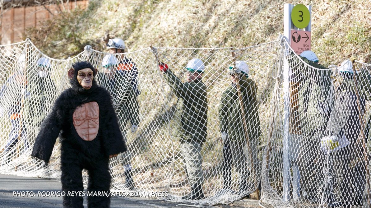 WSJ's tweet image. A Tokyo zoo holds an escaped-animal drill, and more photos of the day: on.wsj.com/2kp27in