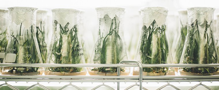 CGrantAndCo's tweet photo. How to Build a Process for Growth Experiments https://t.co/fKNWcQ1oSd #A_B_Testing https://t.co/OXDl7rRNtG