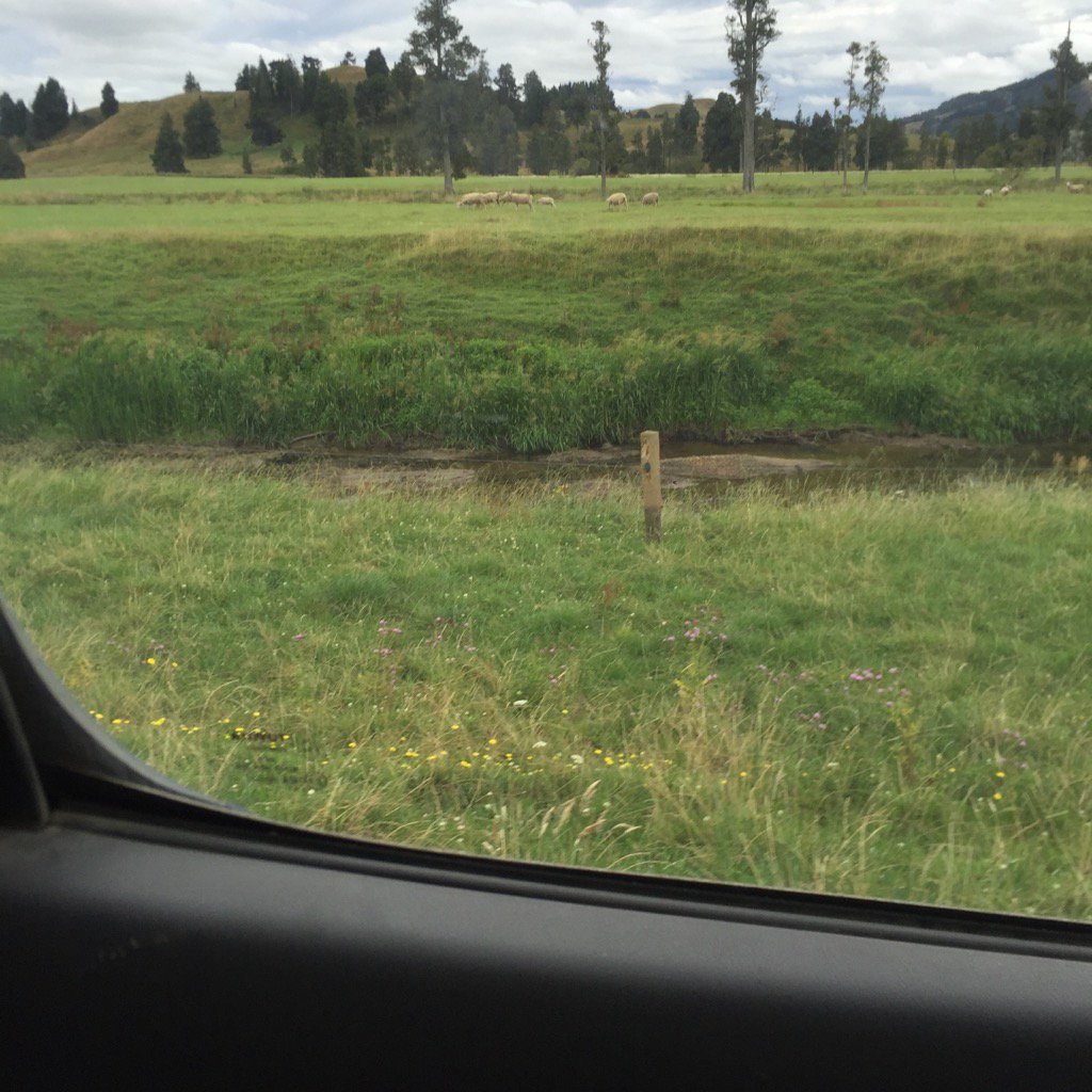 Dairy farm fenced on the river. Dry stock not fenced. Yet we get all the abuse. #befairtodairy <a href="/HlScully/">A Rural person</a>