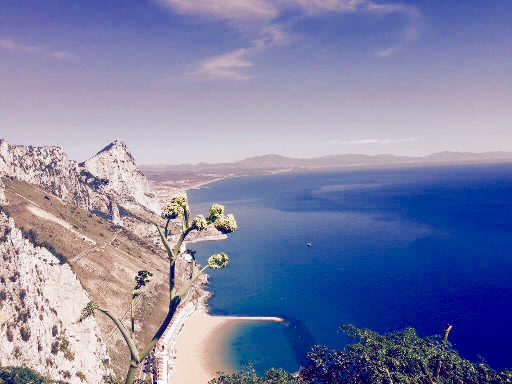 gibraltar_hour's tweet photo. Good night. Dream beautiful dreams in a beautify place. Dream of #Gibraltar. Come and visit it. Fall in love with it. https://t.co/PXr4Hc0wqs