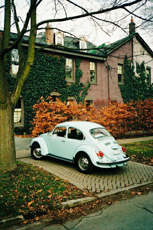 tuilaang's tweet photo. 《Blue Beetle》
#TenEda https://t.co/S398hSHFsf