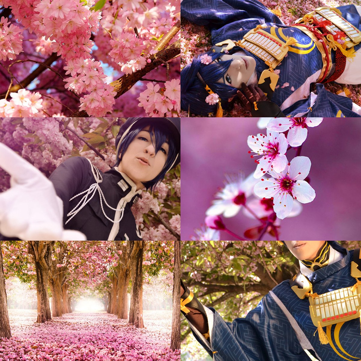 DokuganBAKA's tweet photo. Ein wenig Frühling und Kirschblüten für meine Timeline... ♡ ~('▽^人)
#CosplayAesthetics #ToukenRanbu #Vocaloid #MikazukiMunechika #KAIT0 https://t.co/ywRE1N8JJz