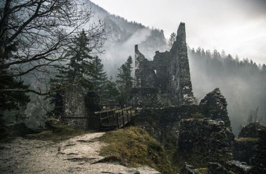 The Dalish
