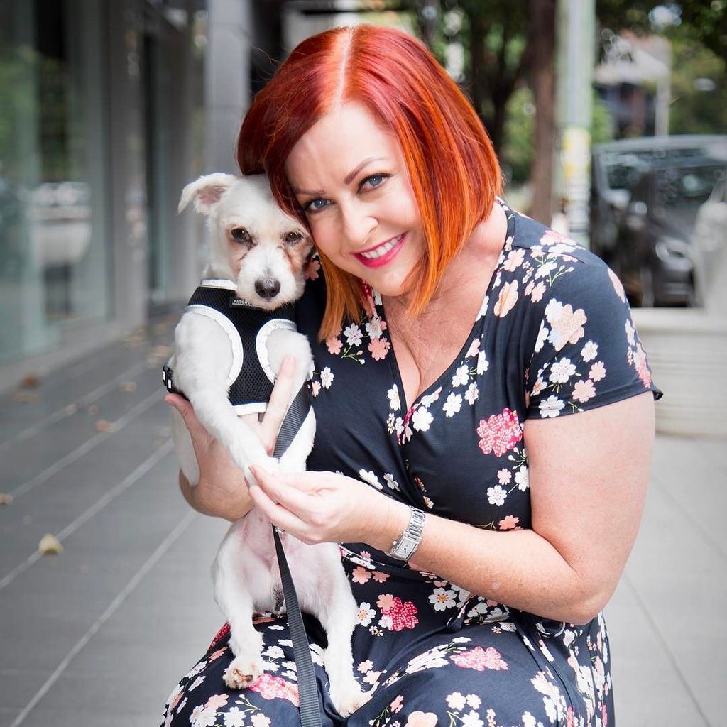 ShellyHorton1's tweet photo. It's been a whole day since I've posted a Mr Barkley shot! 📸 @d_b_robinson
#dogsofinstgra… https://t.co/XT32PbIbDJ https://t.co/e5JolMMXXY