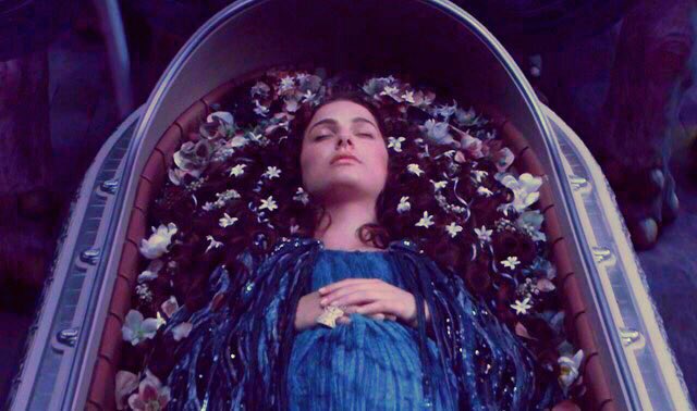 SenatorSavior's tweet image. 'Til Death Do Us Part