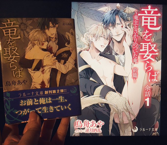 今回の電子配信の"余話1"は
2015年9月に発売した「竜を娶らば」
文庫のその後の物語になります。 