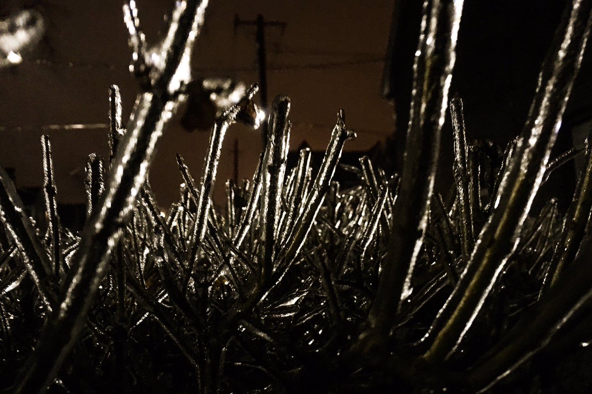 JbBeaton's tweet photo. Toronto freezing rain #Toronto #icestorm2017 #icestorm #winter #slippery https://t.co/vmWscEYSoE