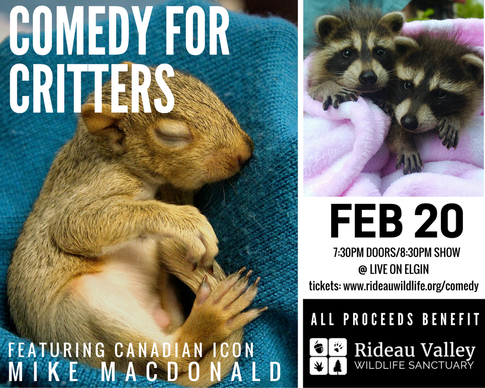 Join us for a night of laughs, ft. Canadian legend Mike MacDonald. All proceeds go to RVWS! Get your tickets now at goo.gl/Kg8blL