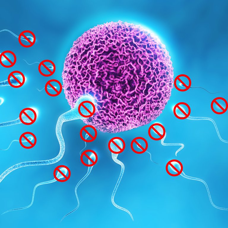 Scientific_Edit's tweet image. #Reversible #lessinvasive #malecontraceptive
bit.ly/2k0qzYT
#birthcontrol #ivf #gender #male #contraceptive #pregnancy #science #rt