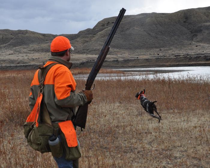 BobStPierre's tweet photo. Is it too early to start counting the days till the opener? @pheasants4ever @SportDOGBrand @SDOutdoors https://t.co/YErHMtBwTj