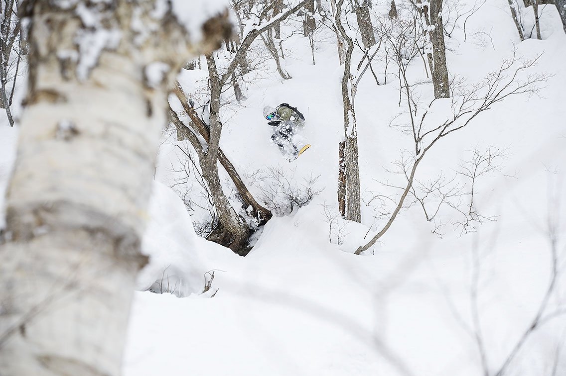 @pgrubri3l splitting trees! Anyone heading over this way soon? Hope you're excited!