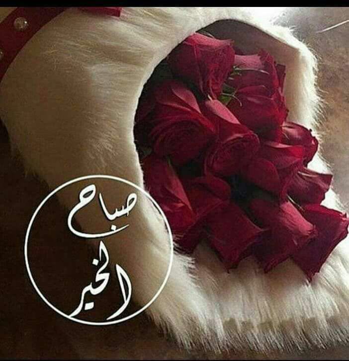 ALHAQWI's tweet photo. https://t.co/lPlpQ6zKfM