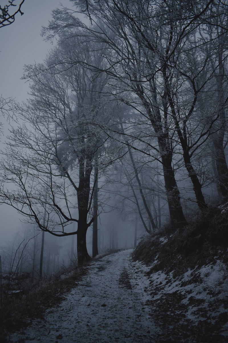 Glennstevenss's tweet image. Mist. #winter #mist #photography #photo #Nikon #fog #day