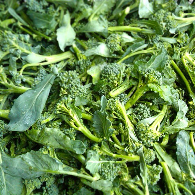 CARNEVINO's tweet photo. #IntuitiveTuesday with organic Broccoli Di Cicco. We combine this with pork, sautéed garlic, & a touch of salt and pepper. #intuitiveforager https://t.co/tmQyDeoLRZ