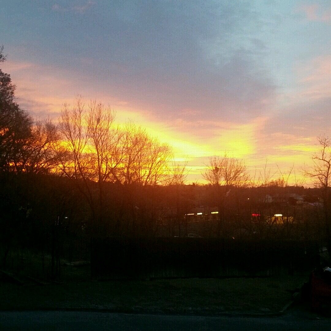 AngelHealYoga's tweet photo. Such a fabulous morning to get up and start fresh! Let's yoga for life! 
#nofilter #newdaynewyou #yogaeverywhere #angelheal #teachertraining https://t.co/SvOATLYGJk
