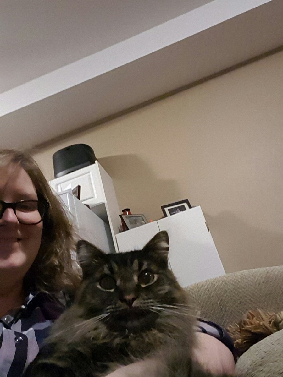 Stephanie Dueck (snarfanie) Twitter