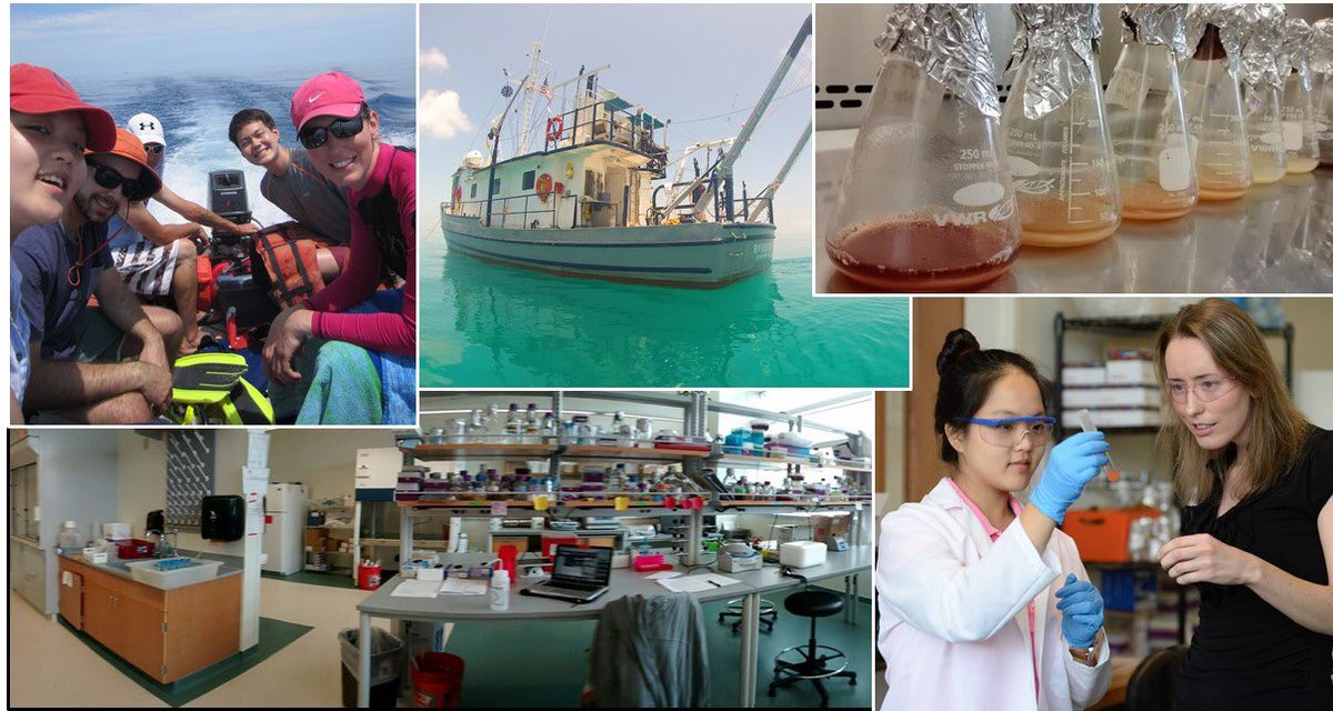 Amy Lane tweet media