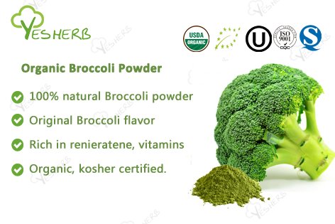 Yesherbbio's tweet photo. YUENSUN organic broccoli powder, rich in renieratene, vitamins,and dietary fiber.

click here for more info >>> https://t.co/yiauSvXTSv https://t.co/hf6Cx5oTeI