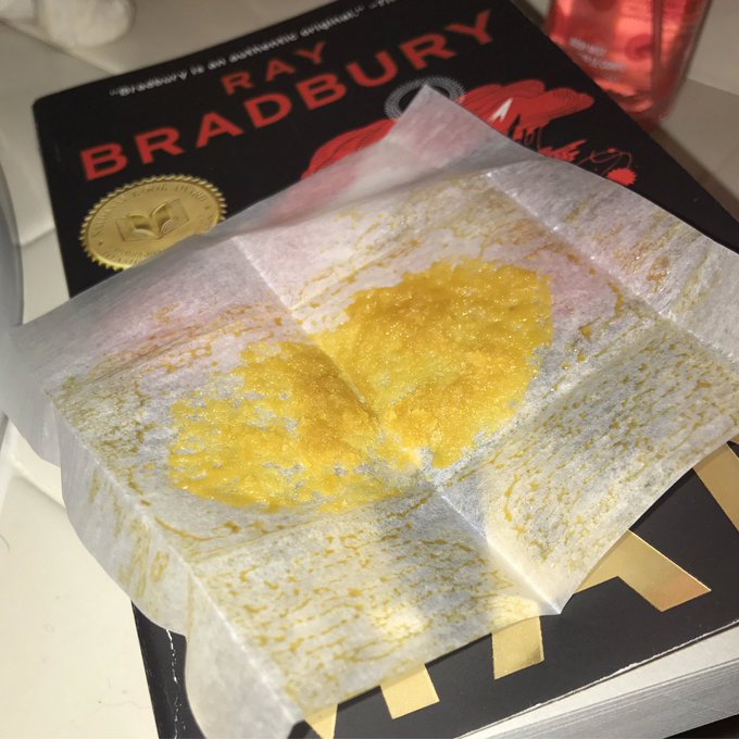I like to get stoned &amp; read books 🙃 https://t.co/NM6nnwQ6bp<a href="/tag/postyourselfasagif"class="tags"><span>#postyourselfasagif</span></a>