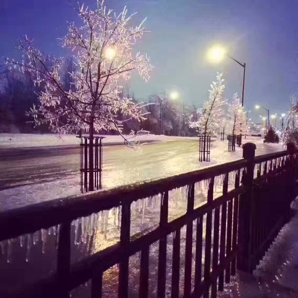Beautiful shots and beautiful scenery #torontoweather but terrible for drivers😢 #drivesafe