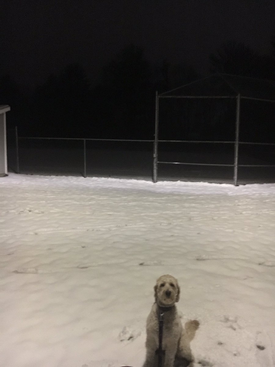 hwllbod's tweet photo. No one here at Cheesman tonight. (2/7/17- 7:52pm). They're all in Boston for the Patriots parade!  #hwll https://t.co/nTicTuhKmr