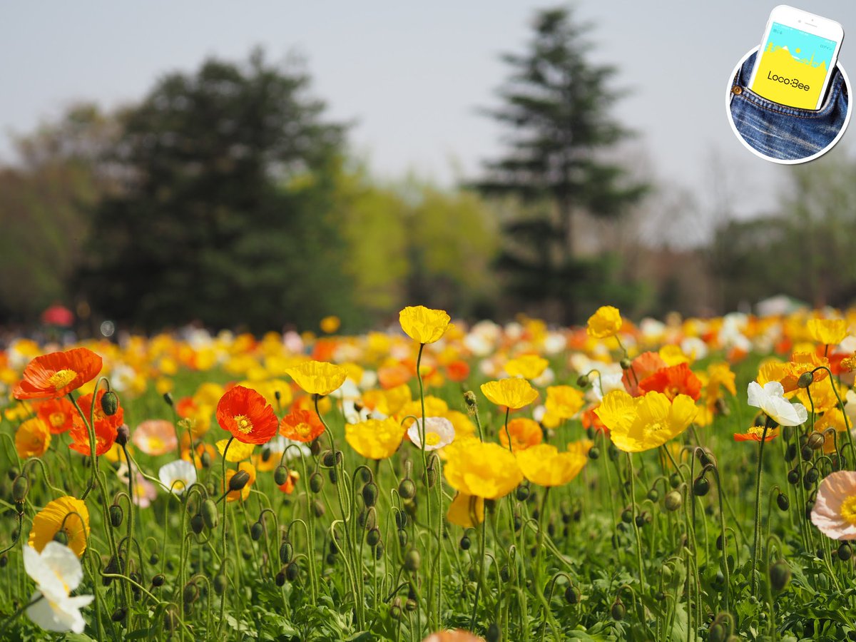 LocobeeApp's tweet image. この景色が見られる場所はどこ？  #LocoBee アプリに聞いてみよう。
 #風景 #景色 #旅 #写真

goo.gl/oMn5w0