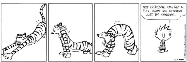 Calvinn_Hobbes's tweet photo. https://t.co/n7DhmlC4zD