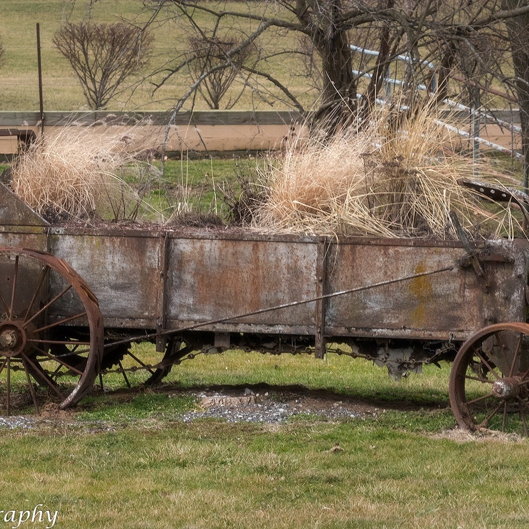 KimGibsonPhoto's tweet photo. I love the #antiques found on the #farm. #photography #photo #rustic #stables https://t.co/uv1Q5sRFlp