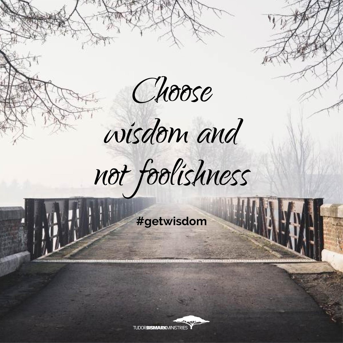 TudorBismark's tweet photo. #getwisdom https://t.co/veTT7fsMS1